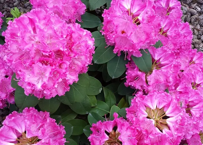 Pensjonat A.v. Namai 3*