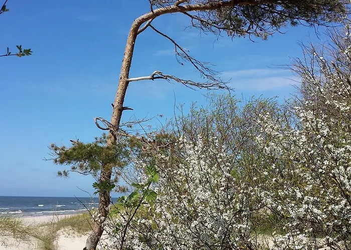 Pensjonat A.v. Namai